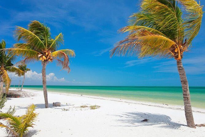 Private Tour To Holbox From Cancun - Introduction