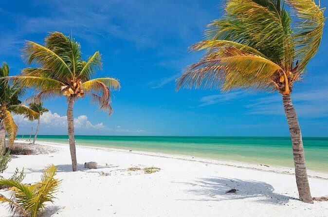 Private Tour To Holbox From Cancun - Who Is This Tour Best For?