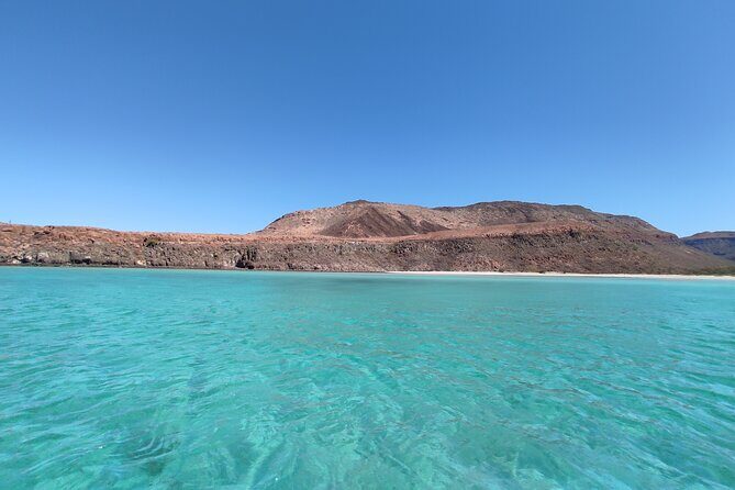 Private Tour to Isla Espiritu Santo and snorkel with sea lions - An In-Depth Look at the Tour