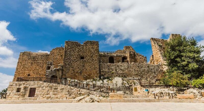 Private Tour to Jerash and Ajloun from Amman - The Transportation and Logistics