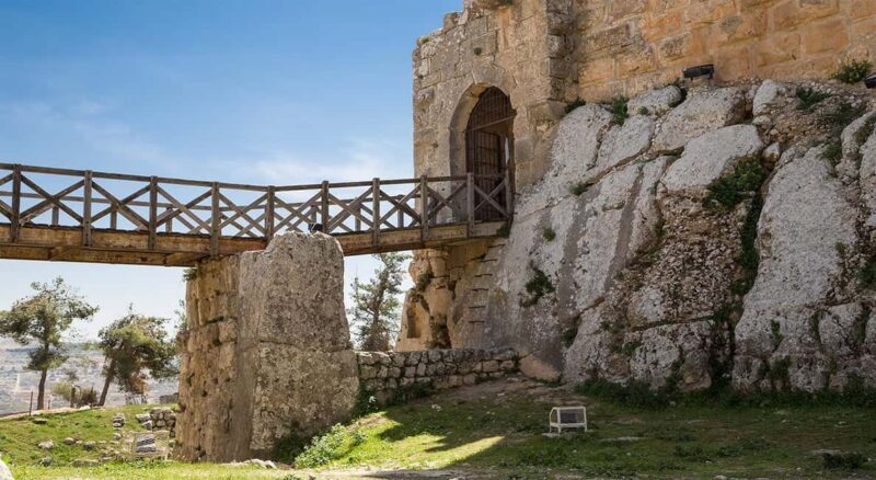 Private Tour to Jerash and Ajloun from Amman - The Value of Guided Visits and Free Time