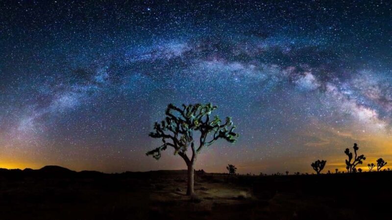 Private tour to Joshua Tree National park from Los Angeles - Who This Tour Is Best For