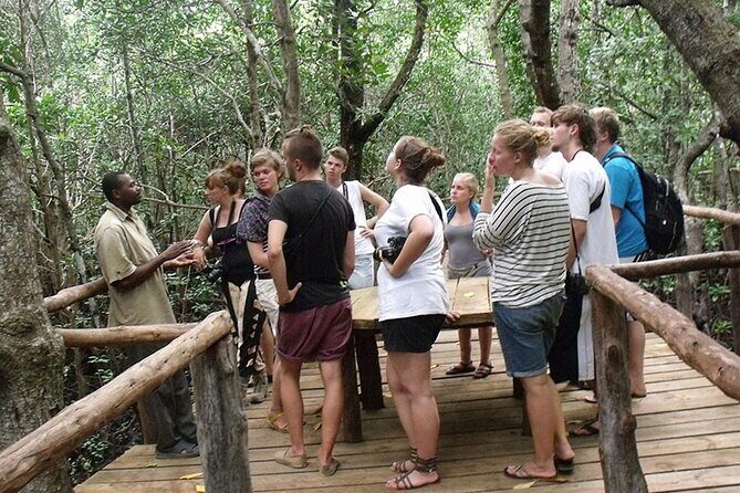 Private Tour to Jozani Forest Reserve Half-Day Guided Tour from Zanzibar - Exploring Jozani Forest Reserve: What You Can Expect
