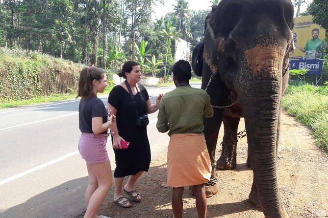 Private Tour to Kochi Suburbs Virgin Hot Spots: Free Pick & Drop - Frequently Asked Questions