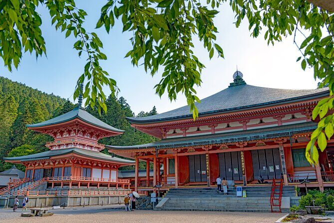 Private Tour to Kyu Chikurinin Garden by Car - Key Points