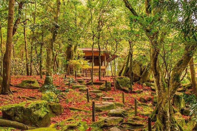 Private Tour to Kyu Chikurinin Garden by Car - Analyzing the Value