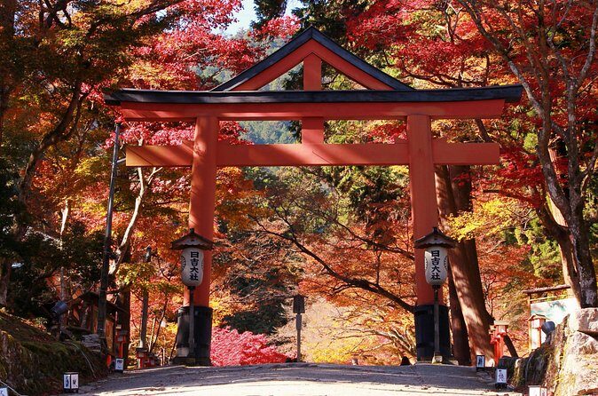 Private Tour to Kyu Chikurinin Garden by Car - The Sum Up
