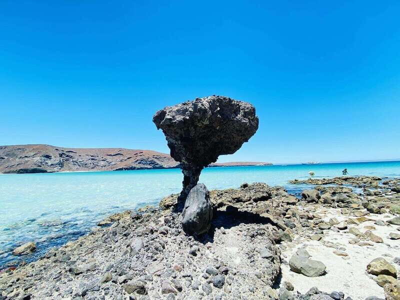 Private tour to La Paz, Balandra and Todos Santos from CABO - An In-Depth Look at the Tour