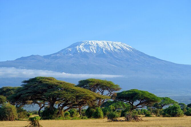Private Tour to Marangu Waterfalls, Chagga Caves, Coffee tour & Hot Springs - An Authentic Day Exploring Tanzania’s Natural and Cultural Gems