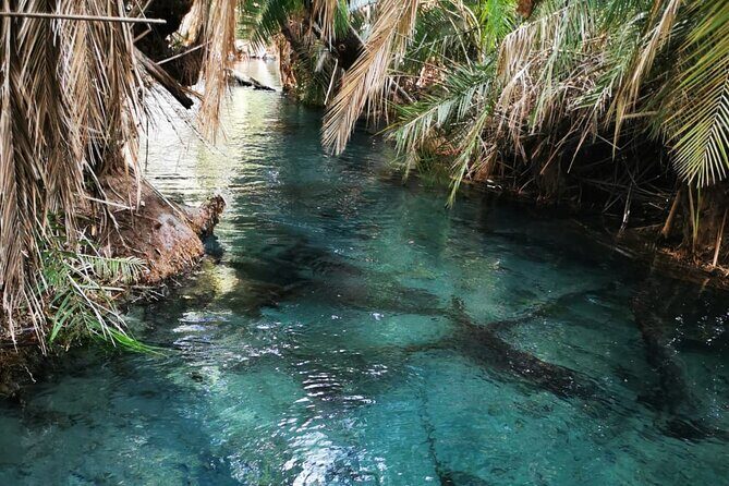Private Tour to Materuni waterfalls, coffee tour & Kikuletwa hot- springs - Practical Aspects of the Tour