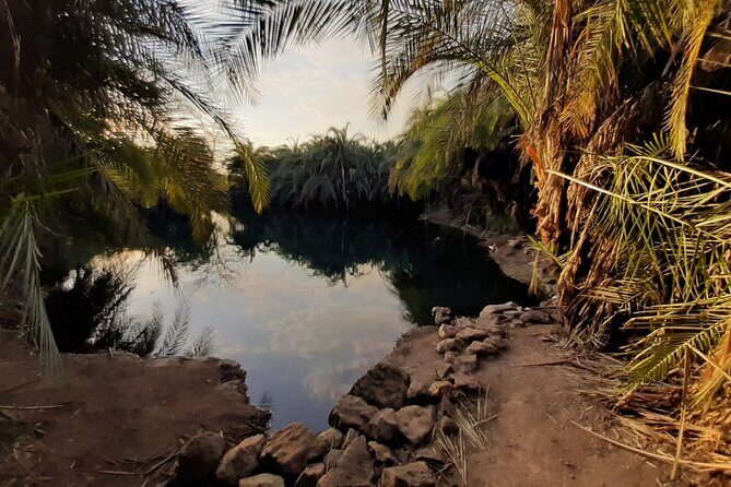 Private Tour to Materuni waterfalls, coffee tour & Kikuletwa hot- springs - Who Will Love This Tour?