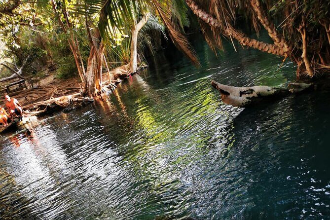 Private Tour to Materuni waterfalls, coffee tour & Kikuletwa hot- springs - Frequently Asked Questions