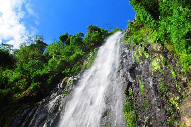 Private Tour to Materuni Waterfalls, coffee tour, Kikuletwa Hot Springs & Maasai - Introduction to the Tour