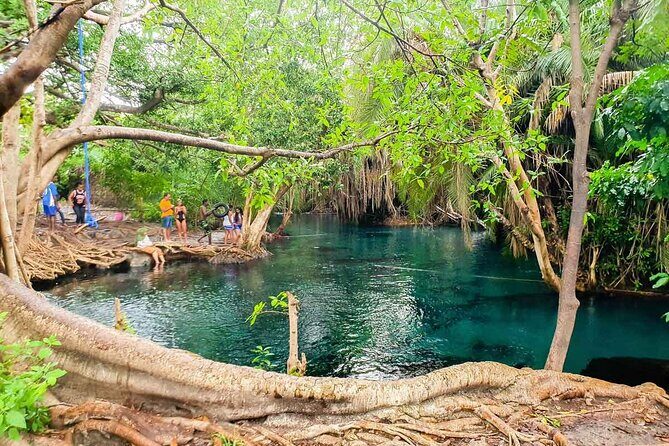 Private Tour to Materuni Waterfalls, coffee tour, Kikuletwa Hot Springs & Maasai - Why This Tour Offers Good Value