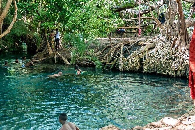 Private Tour to Materuni Waterfalls, coffee tour, Kikuletwa Hot Springs & Maasai - FAQ