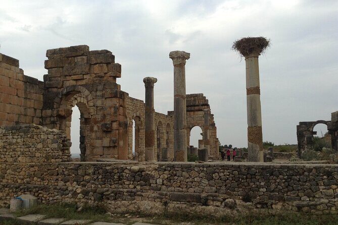 Private Tour To Meknes/ Volubilis/ Moulay Idriss From Fes - Key Points