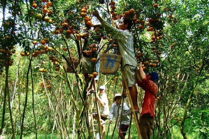 Private tour to Mekong Delta 1 day - Who Will Love This Tour?