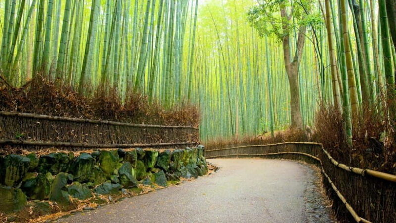 Private Tour to Monkey Park and Arashiyama Highlights - The Sum Up