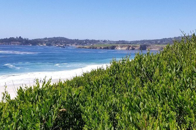 Private Tour to Monterey, Carmel, 17-Mile Drive, Pebble Beach - Final Thoughts