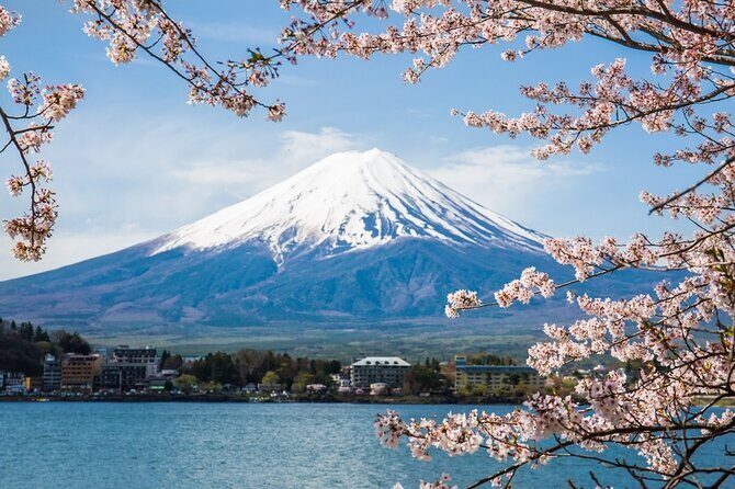 Private tour to Mount Fuji and Hakone from Tokyo - Who This Tour Is Best For