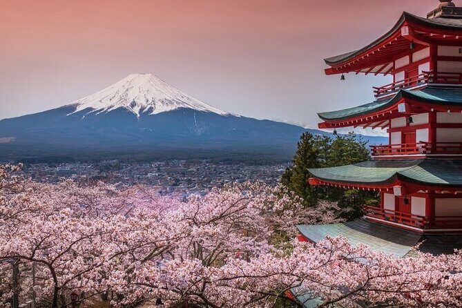 Private tour to Mount Fuji and Hakone from Tokyo - Key Points