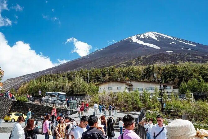 Private tour to Mount Fuji and Hakone from Tokyo - The Sum Up