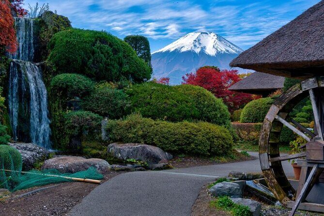 Private tour to Mount Fuji with an English driver from Tokyo - Analyzing the Experience: What Makes This Tour Stand Out