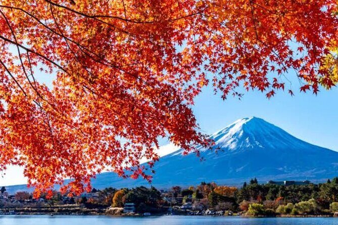 Private tour to Mount Fuji with an English driver from Tokyo - Why This Tour Works for You