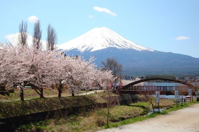 Private tour to Mount Fuji with an English driver from Tokyo - FAQ