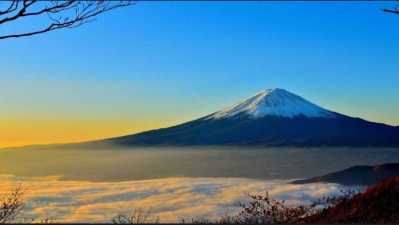 Private Tour to Mt Fuji and Hakone with English Driver - Key Points