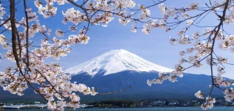 Private Tour to Mt Fuji and Hakone with English Driver - An In-Depth Look at the Tour Itinerary