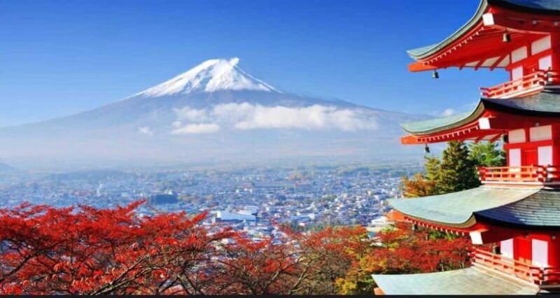 Private Tour to Mt Fuji and Hakone with English Driver - Comfort, Transportation, and Value
