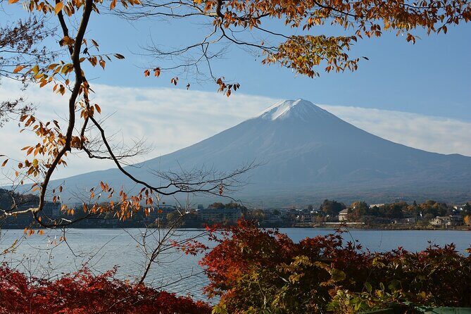Private Tour to Mt Fuji and Hakone with English Speaking Driver - The Itinerary Breakdown: What to Expect