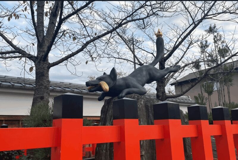 Private tour to Nara and Inari with Spanish-speaking Guide - Authentic Experiences and Practicalities