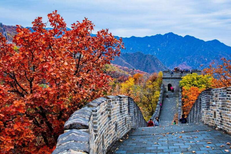 Private Tour to Panda House with Great Wall or City Sites - Transportation & Timing