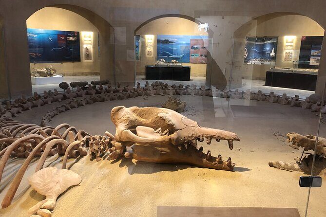 private tour to pyramids, sphinx, Egyptian museum , Local lunch - Real Guest Perspectives