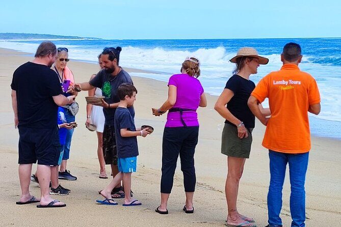 Private tour to release turtles with tickets included - A Deep Dive into the Turtle Release Tour