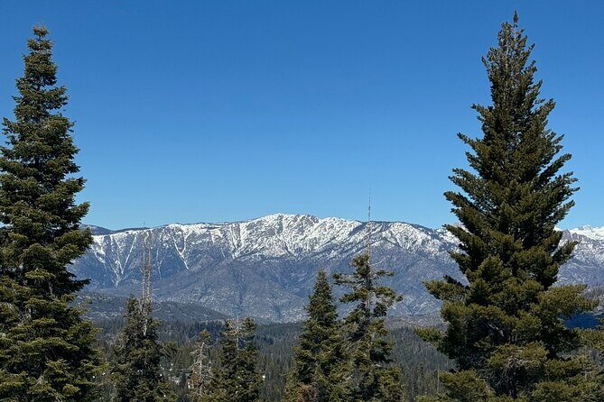 Private Tour to Sequoia and Kings Canyon National Parks - Exploring the Itinerary in Detail