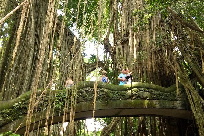 Private Tour to Sumampan Waterfall, Monkey forest, Rice terraces and Swing - A Day in Bali’s Heartland: What You Can Expect
