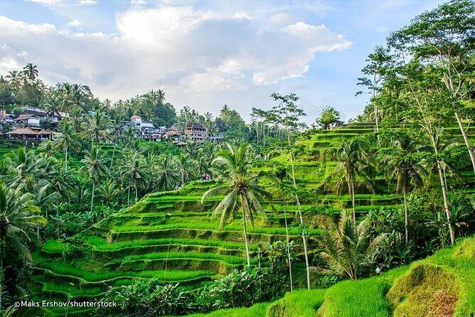 Private Tour to Sumampan Waterfall, Monkey forest, Rice terraces and Swing - Final Thoughts