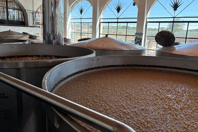 Private Tour to Tequila and Guachimontones - Who Is This Tour Best For?
