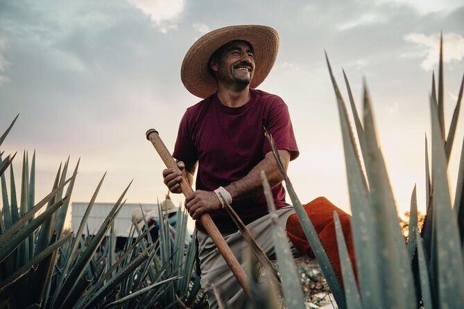 Private Tour to Tequila Ocho Distillery and the Town of Arandas - Discover the Authentic Flavors and Culture of Jalisco with a Private Tour to Tequila Ocho and Arandas