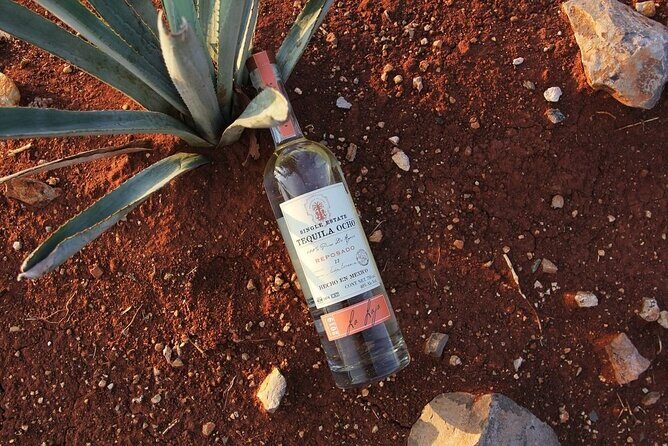 Private Tour to Tequila Ocho Distillery and the Town of Arandas - Frequently Asked Questions (FAQ)