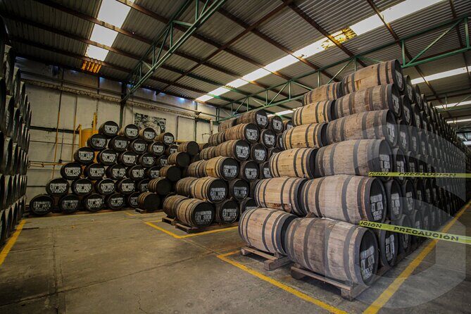 Private Tour to Tequilera Corralejo and Piramides Zone - Final Thoughts