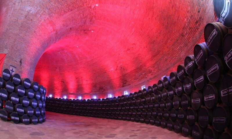 Private Tour to Tequilera Corralejo and Piramides Zone - Who Will Enjoy This Tour?