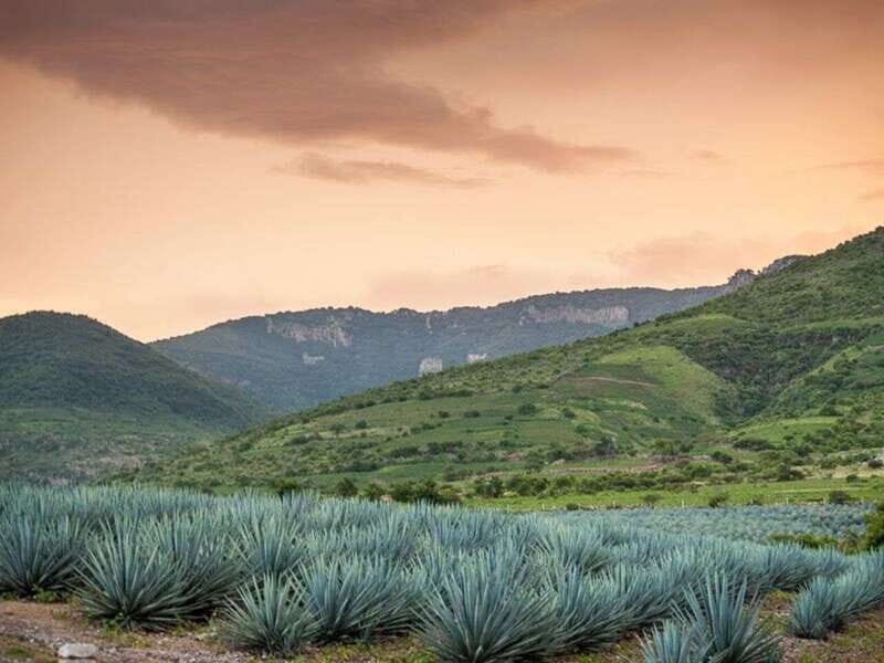 Private Tour to Tequilera Corralejo and Piramides Zone - FAQ