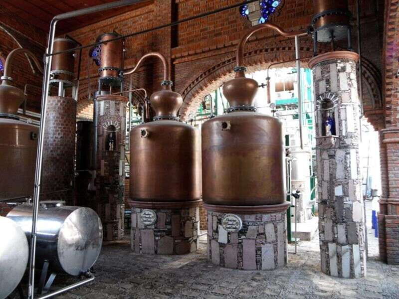 Private Tour to Tequilera Corralejo and Piramides Zone - Final Thoughts