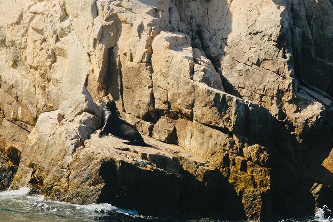 Private Tour to the Arch of Cabo San Lucas by Glass Bottom Boat - The Sum Up