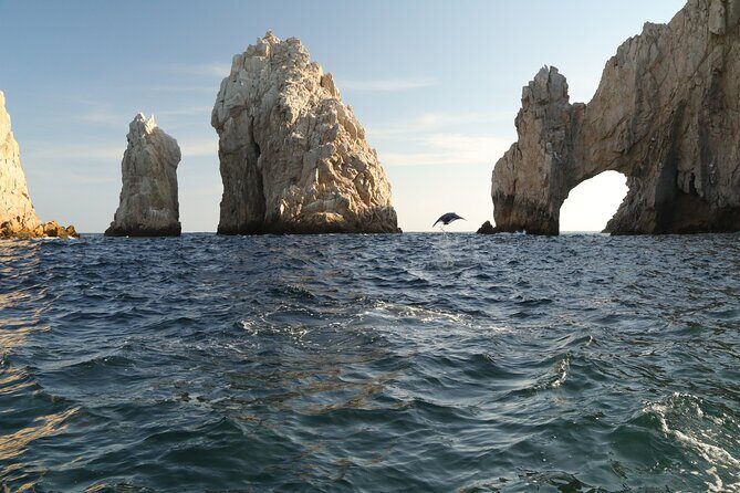 Private Tour to the Arch of Cabo San Lucas by Glass Bottom Boat - Frequently Asked Questions
