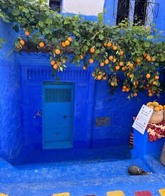 Private tour to the blue city Chefchaouen - Key Points